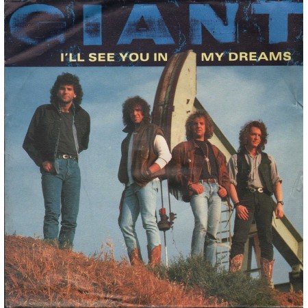 Giant Vinile 7" 45 giri I'll See You In My Dreams / Stranger To M / 3905007 Nuovo