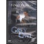 Grey Owl. Gufo Grigio DVD Richard Attenborough / Sigillato 8012812851345