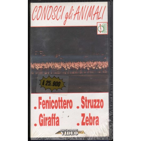 Conosci Gli Animali VHS Fausto Sassi / 8009068080568 Sigillato