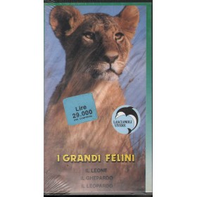I Grandi Felini VHS Various / 8010283300126 Sigillato I Grandi Felini VHS Various / 8010283300126 Sigillato