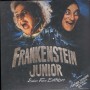 Frankenstein Junior DVD Mel Brooks Century Fox - 034620CA1 Sigillato