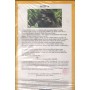Gorilla VHS National Geographic Univideo - NGH1008 Sigillato