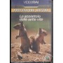 Professione Natura, Lo Scoiattolo Dalle Sette Vite VHS Univideo - VRI5023 Sigillato