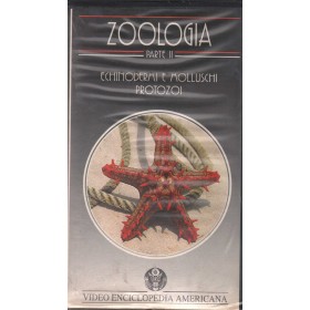 Video Enciclopedia Americana, Zoologia Parte II VHS RCA – XXVII Sigillato Video Enciclopedia Americana, Zoologia Parte II VHS RCA – XXVII Sigillato