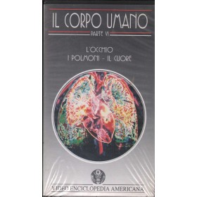 Video Enciclopedia Americana, Il Corpo Umano Parte VI VHS RCA – 2392859 Sigillato Video Enciclopedia Americana, Il Corpo Umano Parte VI VHS RCA – 2392859 Sigillato