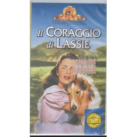 Il Coraggio Di Lassie VHS Fred M. Wilcox Univideo - PIV52593 Sigillato Il Coraggio Di Lassie VHS Fred M. Wilcox Univideo - PIV52593 Sigillato