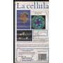 La Cellula: Evoluzione E Biologia Molecolare VHS MSF11001 Sigillato