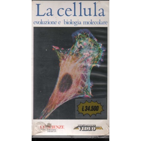 La Cellula: Evoluzione E Biologia Molecolare VHS MSF11001 Sigillato