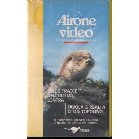 Airone Video: Ultima Lontra, Favola Di Un Topolino VHS Univideo - AIV3013 Sigillato Airone Video: Ultima Lontra, Favola Di Un Topolino VHS Univideo - AIV3013 Sigillato