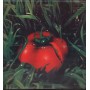 Banco Del Mutuo Soccorso Vinile LP Di Terra Ricordi – SMRL6226 Nuovo