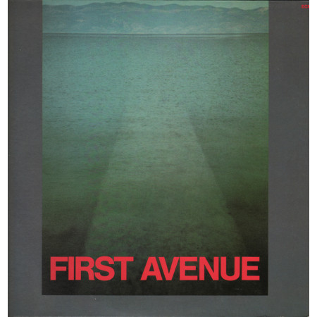 First Avenue  Lp 33giri First Avenue  Nuovo