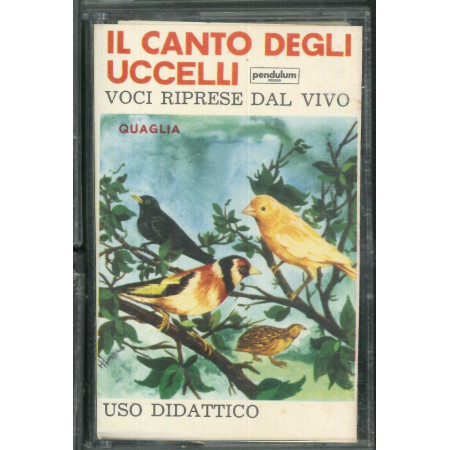 Il Canto Degli Uccelli MC7 Quaglia / CA 4504 Sigillata