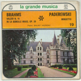 Brahms Vinile 7" 45 giri Valzer N. 15 Op. 39 / Minuetto - RGM-NP 02719 - Nuovo Brahms Vinile 7" 45 giri Valzer N. 15 Op. 39 / Minuetto - RGM-NP 02719 - Nuovo