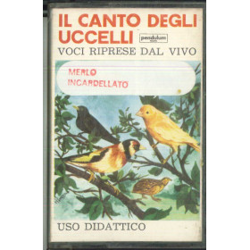 Il Canto Degli Uccelli MC7 Merlo Incardellato / CA 4502 Nuova Il Canto Degli Uccelli MC7 Merlo Incardellato / CA 4502 Nuova