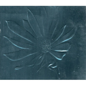 Pet Shop Boys CD Release Limited Ed EMI Parlophone Blue Daisy Slipcase Sigillato Pet Shop Boys CD Release Limited Ed EMI Parlophone Blue Daisy Slipcase Sigillato
