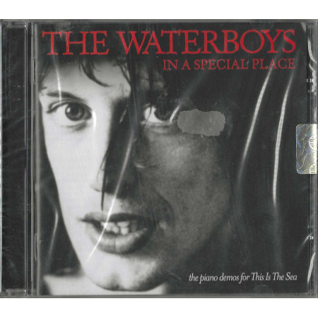 The Waterboys CD In A Special Place / Chrysalis – 5099909841024 Sigillato