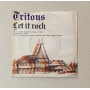 Tritons 7" 45 giri I Saw Her Standing There / Fonit Cetra – IS20133 Nuovo