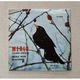 No Artist Vinile 7" 45 giri Merlo (Turdus Merula) / Equipe – EdaSP05 Nuovo No Artist Vinile 7" 45 giri Merlo (Turdus Merula) / Equipe – EdaSP05 Nuovo