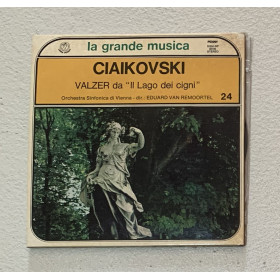 Ciaikovski, Wiener Symphoniker Vinile 7" 45 giri Valzer da ''Il Lago dei Cigni'' Nuovo Ciaikovski, Wiener Symphoniker Vinile 7" 45 giri Valzer da ''Il Lago dei Cigni'' Nuovo