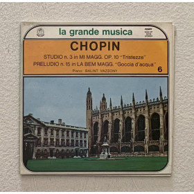 Chopin, Vazsonyi Vinile 7" 45 giri Studio N. 3 Op. 10 "Tristezze" / Preludio N. 15 "Goccio D"Acqua" Nuovo Chopin, Vazsonyi Vinile 7" 45 giri Studio N. 3 Op. 10 "Tristezze" / Preludio N. 15 "Goccio D"Acqua" Nuovo