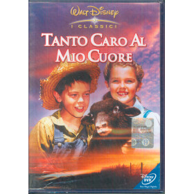 Tanto Caro Al Mio Cuore  DVD  Harold D. Schuster / Sigillato 8007038000967 Tanto Caro Al Mio Cuore  DVD  Harold D. Schuster / Sigillato 8007038000967