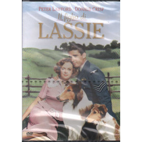 Il Figlio Di Lassie DVD S. Sylvan Simon / Sigillato 5051891000964 Il Figlio Di Lassie DVD S. Sylvan Simon / Sigillato 5051891000964