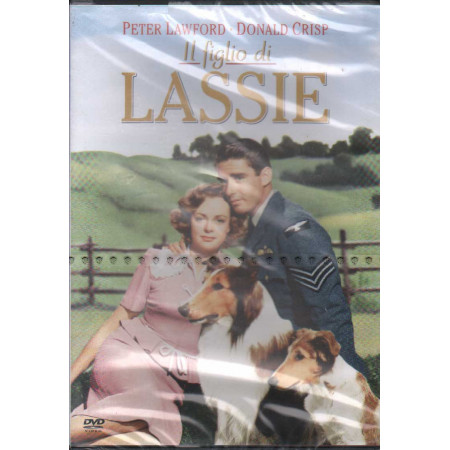 Il Figlio Di Lassie DVD S. Sylvan Simon / Sigillato 5051891000964