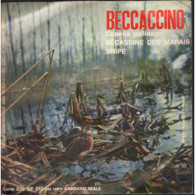 No Artist Vinile 7" 45 giri Beccaccino (Capella Gallinago) / Gabbiano Reale (Larus Argentatus)
