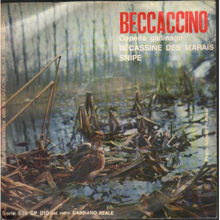 No Artist Vinile 7" 45 giri Beccaccino (Capella Gallinago) / Gabbiano Reale (Larus Argentatus)