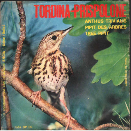 Artist Vinile 7" 45 giri Tordina-Prispolone / Equipe – EdaSP09 Nuovo