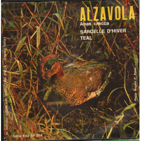 Artist Vinile 7" 45 giri Alzavola, Anas Crecca / Encia – EdaSP014 Nuovo Artist Vinile 7" 45 giri Alzavola, Anas Crecca / Encia – EdaSP014 Nuovo